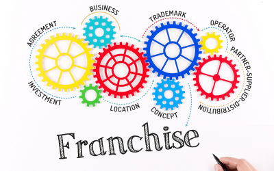 Buying a Franchise: Why Solatube Home’s Low Competition and High-Revenue Combo Is So Important